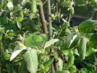 DSC05115.JPG