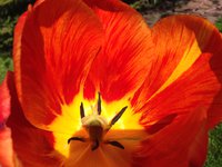 IMG_6251.JPG