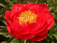 IMG_20130605_194913.jpg