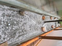 IMG_4106.JPG