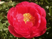 IMG_20130606_003907.jpg