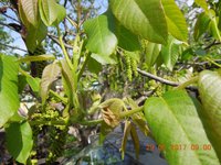 DSCN5649.JPG
