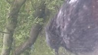 IMG-20170529-WA0025.jpeg