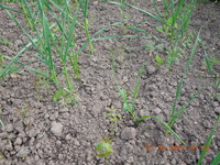 DSCN5664.JPG