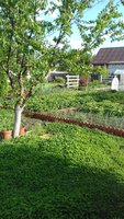 20170530_174004.jpg