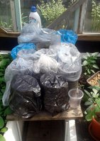 IMG-20170527-WA0003.jpg
