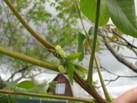 IMG_0002.JPG