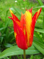 IMG_3160-1.jpg