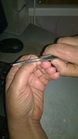 WP_20170604_007.jpg