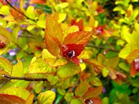 IMG_3149.JPG
