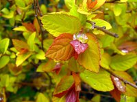 IMG_3150.JPG