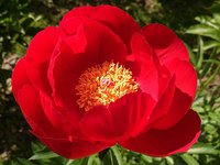 IMG_20130606_163506.jpg