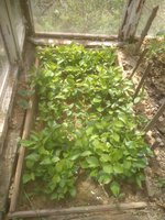 IMG_20170609_123730.jpg