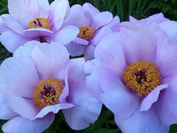 IMG_20130606_200326.jpg