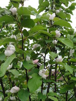 DSC05147.JPG