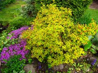 IMG_3208.JPG