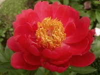 IMG_20130607_184852.jpg