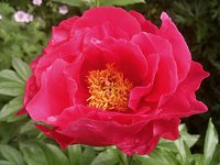 IMG_20130607_185157.jpg