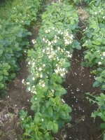 IMG_20170614_181039.jpg