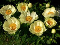 IMG_20130608_192924.jpg