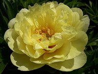 IMG_20130608_192656.jpg