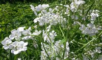 20170618_112315.jpg