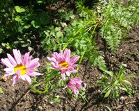 20170618_154635.jpg