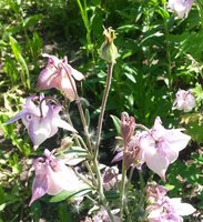 20170618_154643.jpg