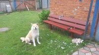 20170616_110121.jpg