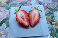 IMG_7977.jpg