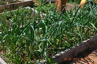 DSC_0196.JPG