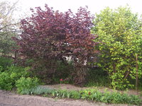 2012.05.20.25.jpg