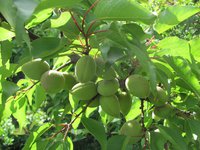 IMG_0059.JPG