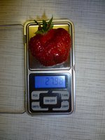 хоней23.06. аJPG.jpg