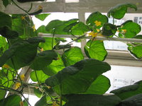 IMG_0994.JPG