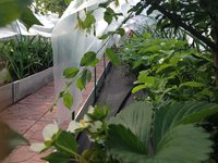IMG_6691.JPG