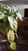IMG_20170627_165442.jpg