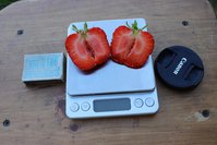 IMG_8087.jpg