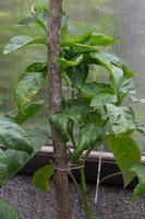 DSC_7414.jpg