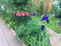 IMG_4299.JPG