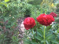IMG_4304.JPG