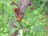 IMG_2140.JPG