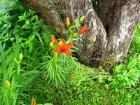 IMG_3277.JPG