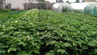 IMG_20170702_131701.jpg