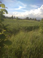 IMG_20170619_190403.jpg