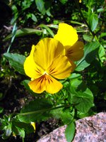IMG_3284.JPG