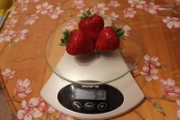IMG_8215.jpg