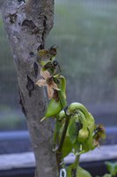 DSC_7695.jpg