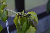 DSC_7696.jpg