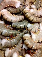 IMG-20170704-WA0004.jpg